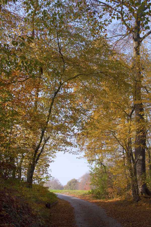 Durch diese hohle Gasse...
