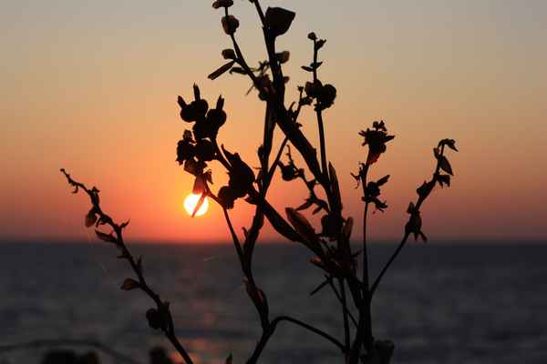 The Last Touch of Summer