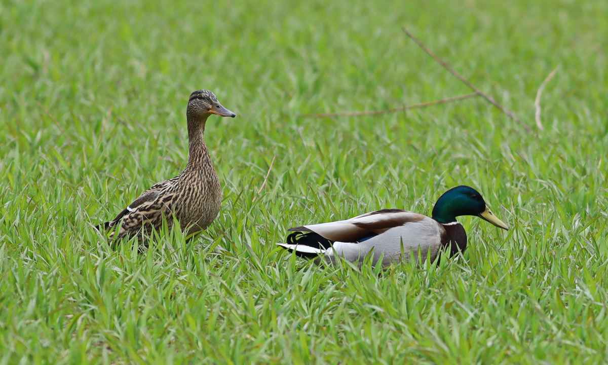 wir gehören zuammen