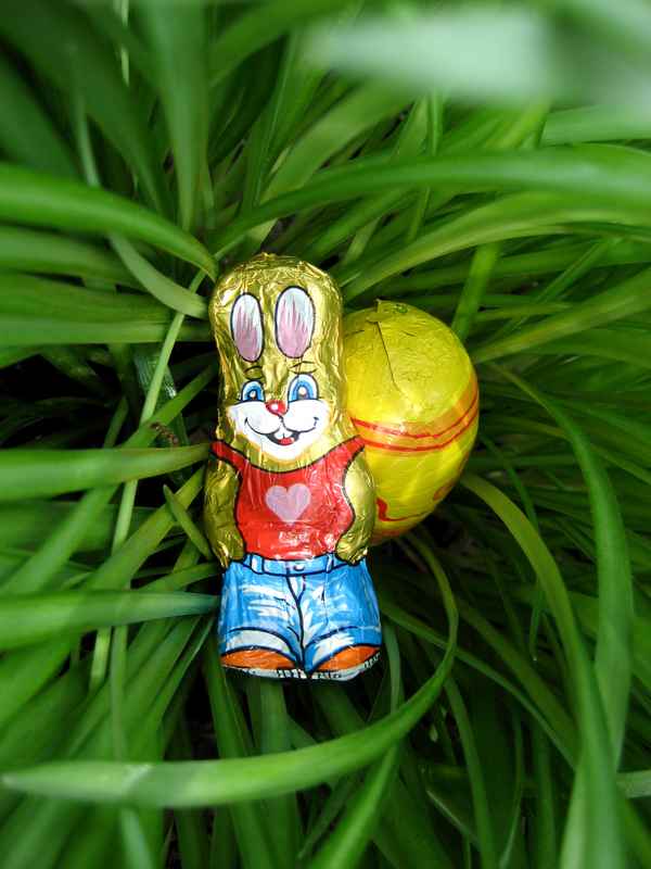Osterhase