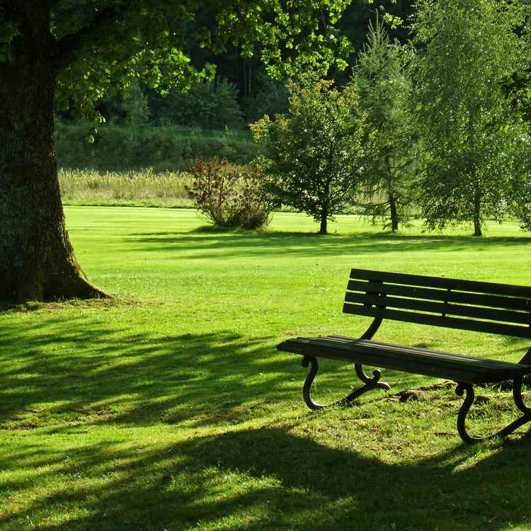 Einladende Ruhebank im Abendlicht