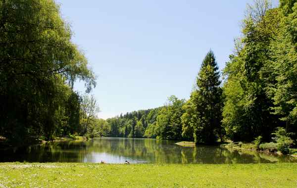 Hinterbrühler See 02