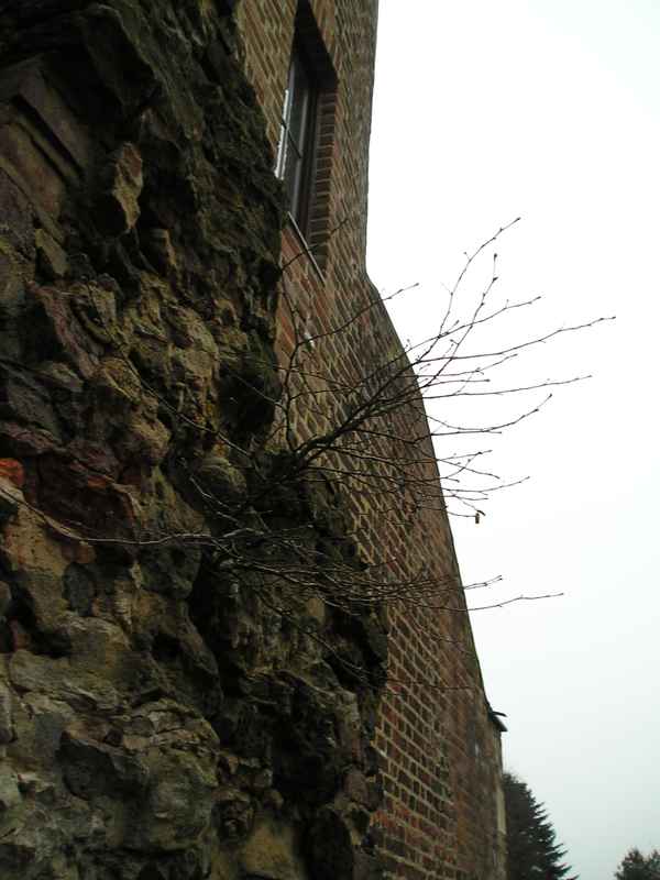 " Fest in der Festung "  b