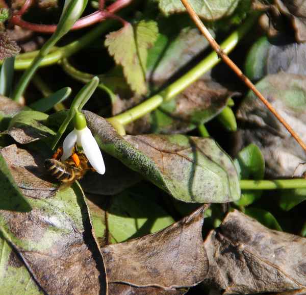 Frisch an`s Werk...01