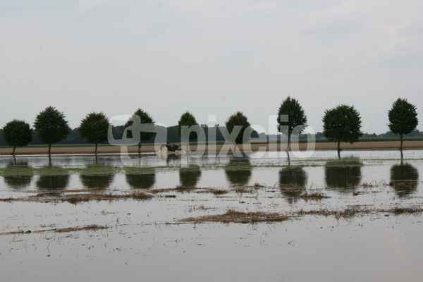 Hochwasser August 2010