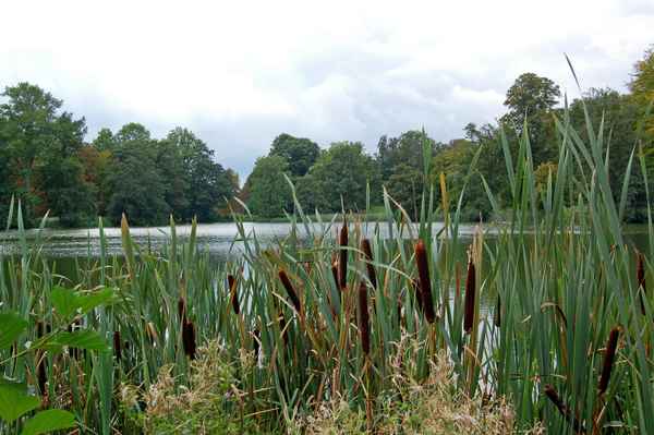Schlosspark zu Putbus auf Rügen
