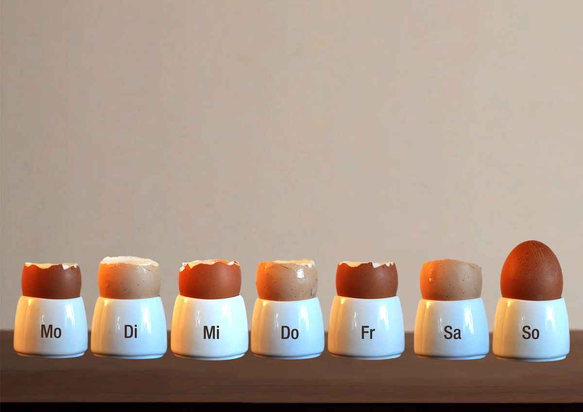 Der Sonntag und das Ei