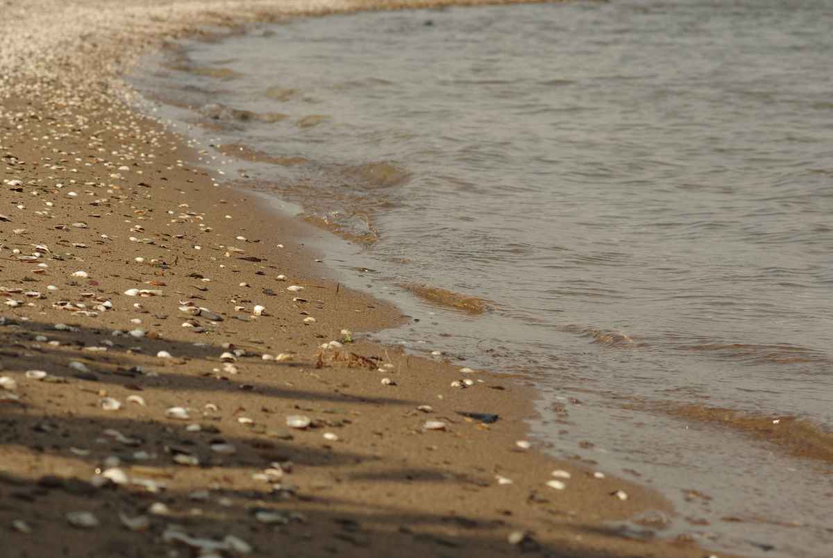 Rheinstrand
