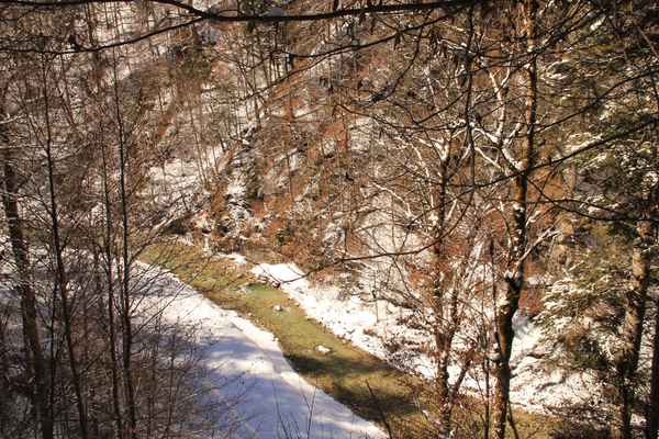 Die Partnach - ein Wildbach im Reintal 01