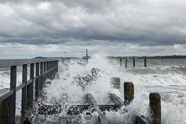 die ersten Herbstwinde