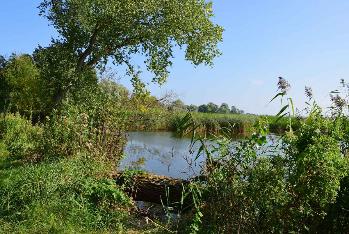 Usedom - Idylle am Achterwasser