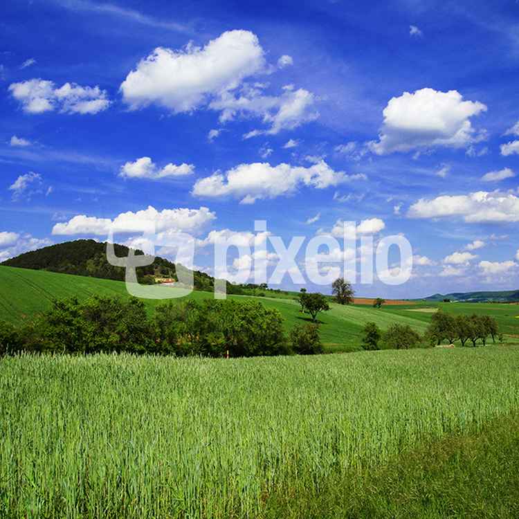 Über Land