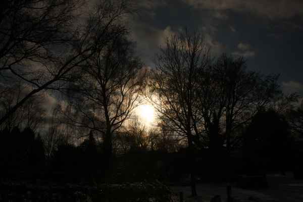 Wintersonne hinter Bäumen