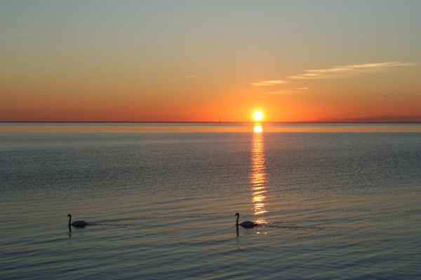 Sonnenuntergang auf Öland