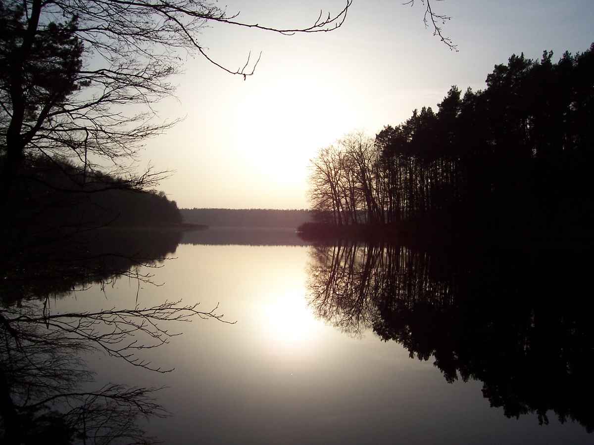 Spiegelung II