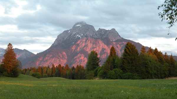 Säuling im Abendlicht
