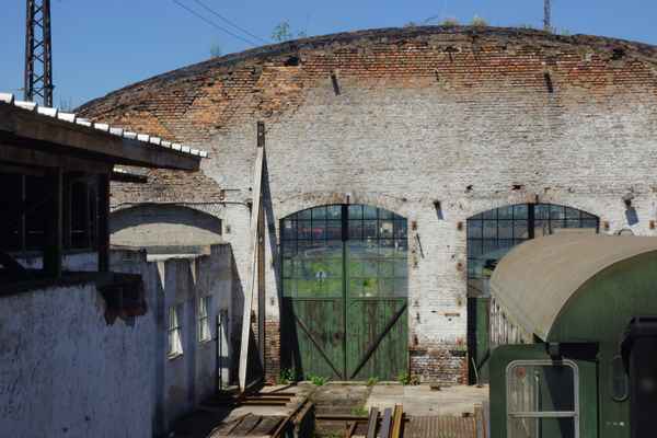 transparenter Schuppen