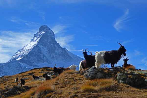 Letzte Tage auf 2800 Meter