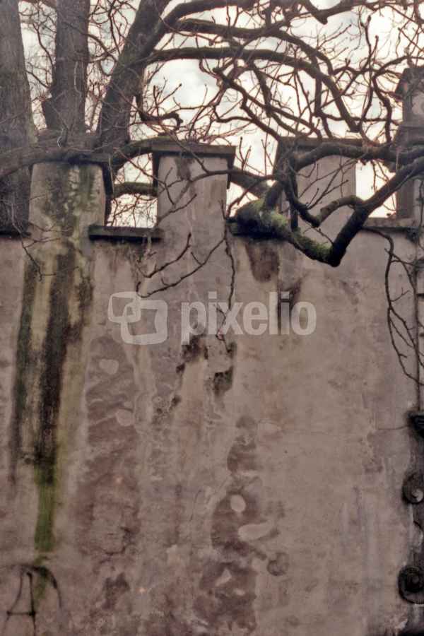 Mauer zum Draufsprayen