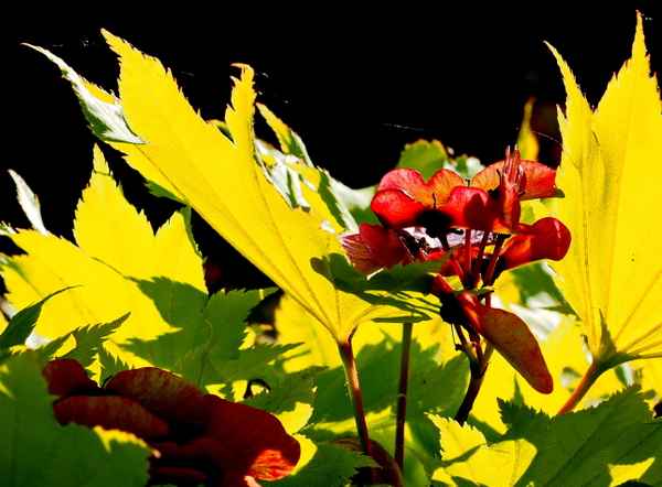 licht und schatten
