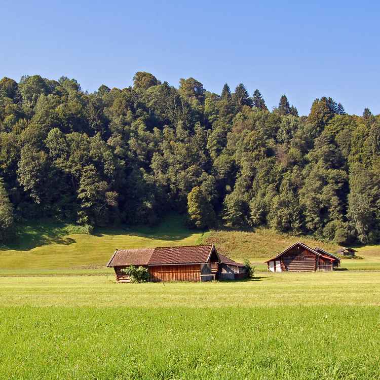 Die Heu-Ernte beginnt