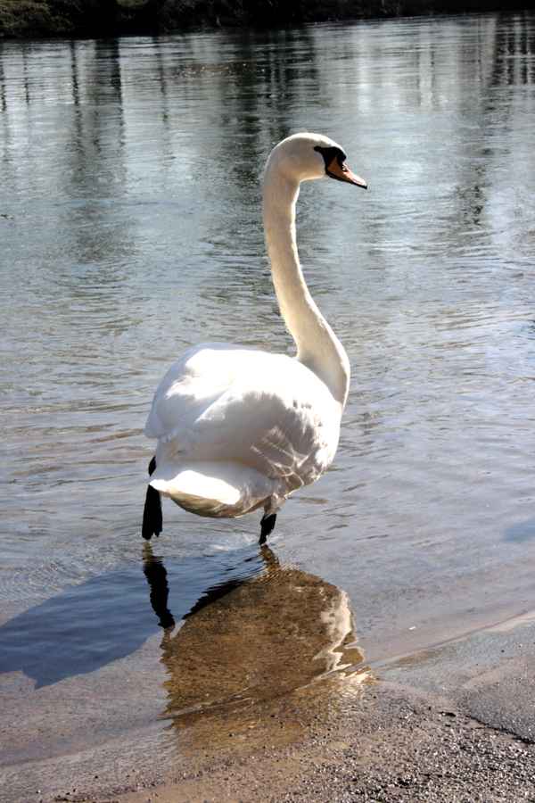 Lass mich in bloß in Ruhe...