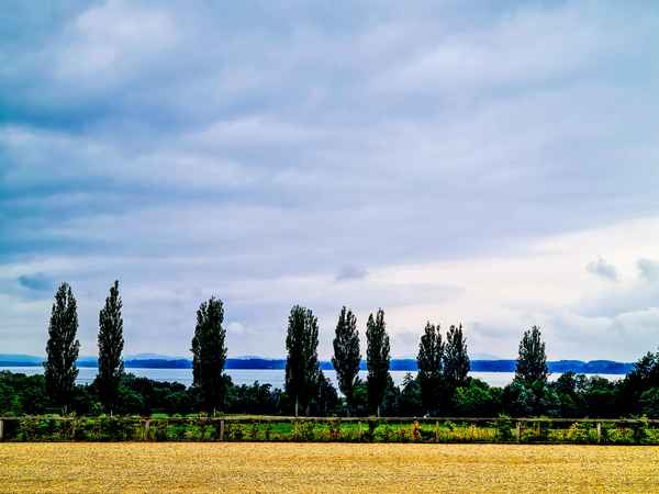 Chiemsee Panorama 2022