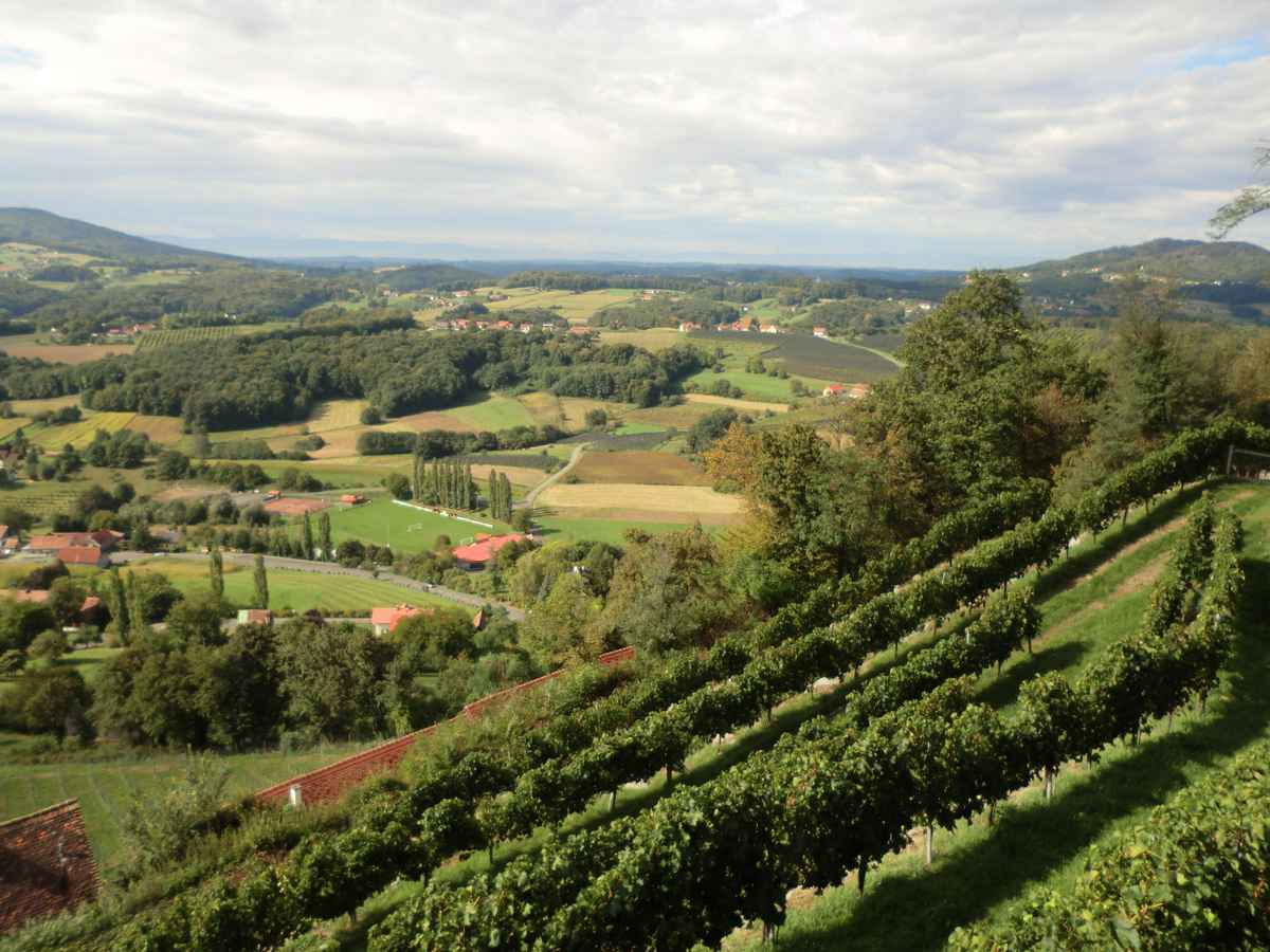 Kapfenstein