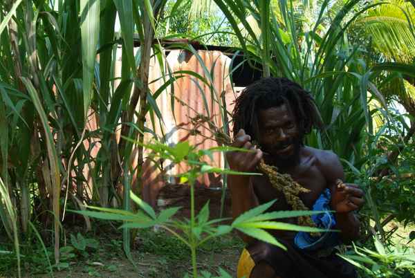 Jamaica Rasta