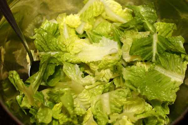 etwas Grünes braucht der Mensch