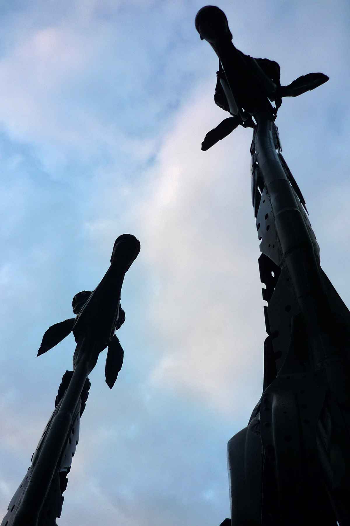 Giraffen in Edinburgh