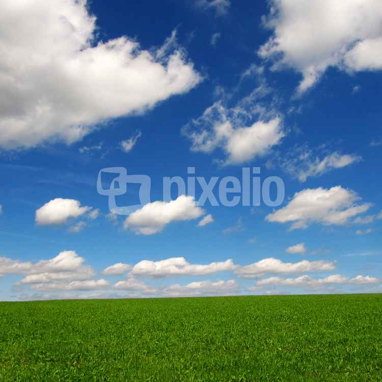 Blau-weiss-grün - Der perfekte Natur-Hintergrund