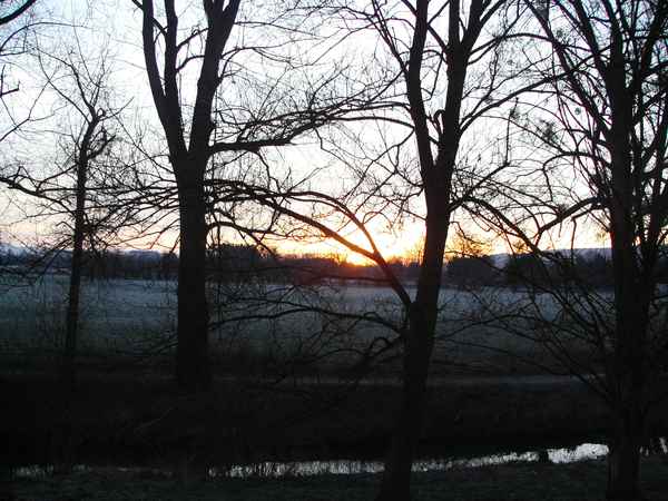 Morgensonne