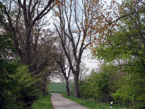 Wohin der Weg auch führt