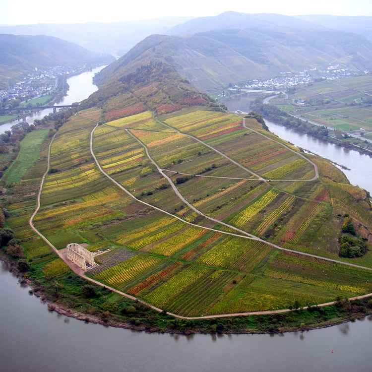 Moselschleife im Herbst