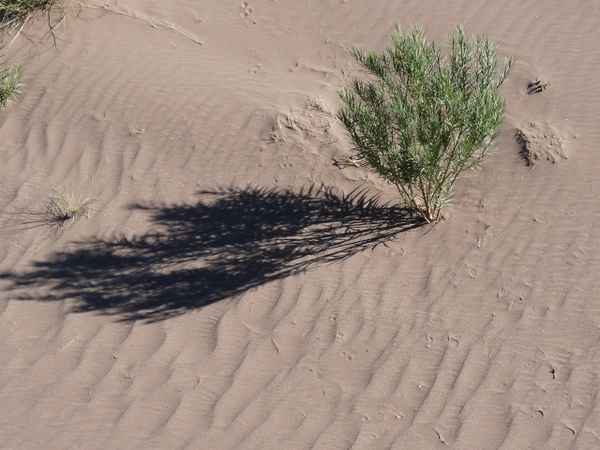 Schatten in der Wüste