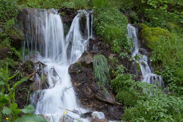 Kleiner Waldbach - Erfrischung