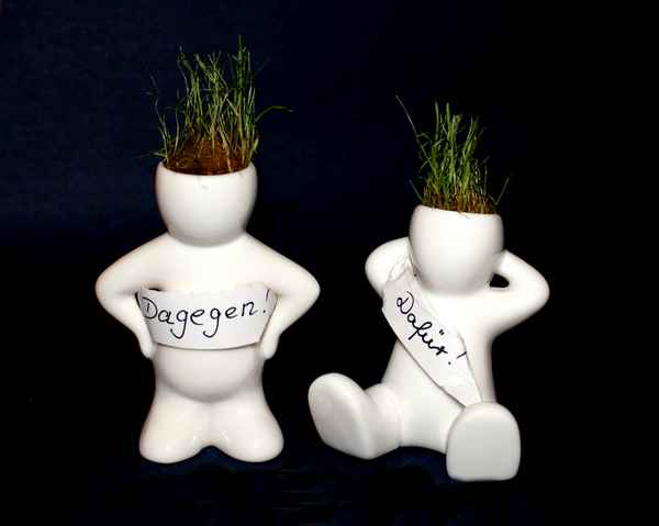 Dafür oder dagegegen?