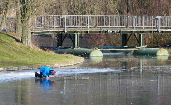 Eistester im  Rheinauenpark  Bonn