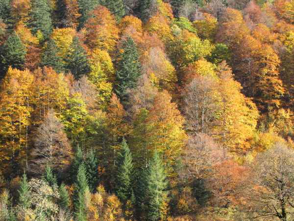 Der Maler war unterwegs