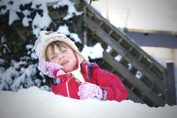 Kleiner Frechdachs im Schnee