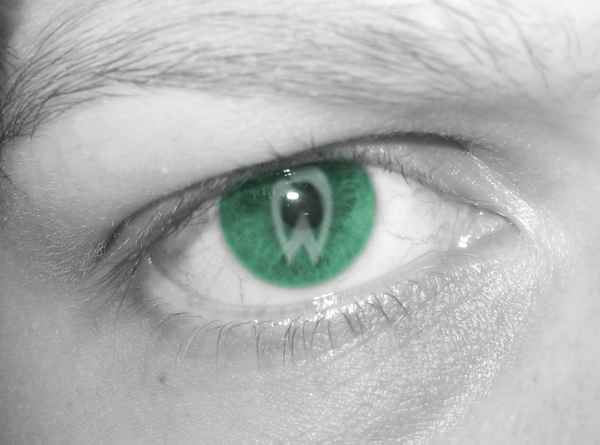 Werder immer im Auge