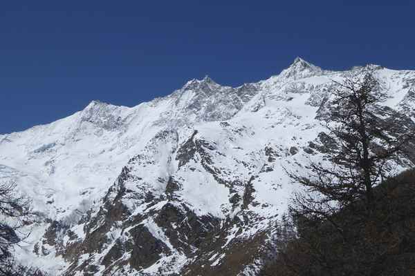 Frühlingskleid der Mischabel-Gruppe