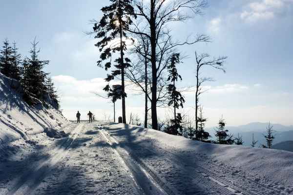 Langlauf mit Weitblick