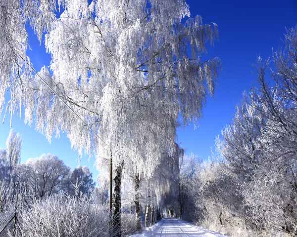 ein klarer wintertag