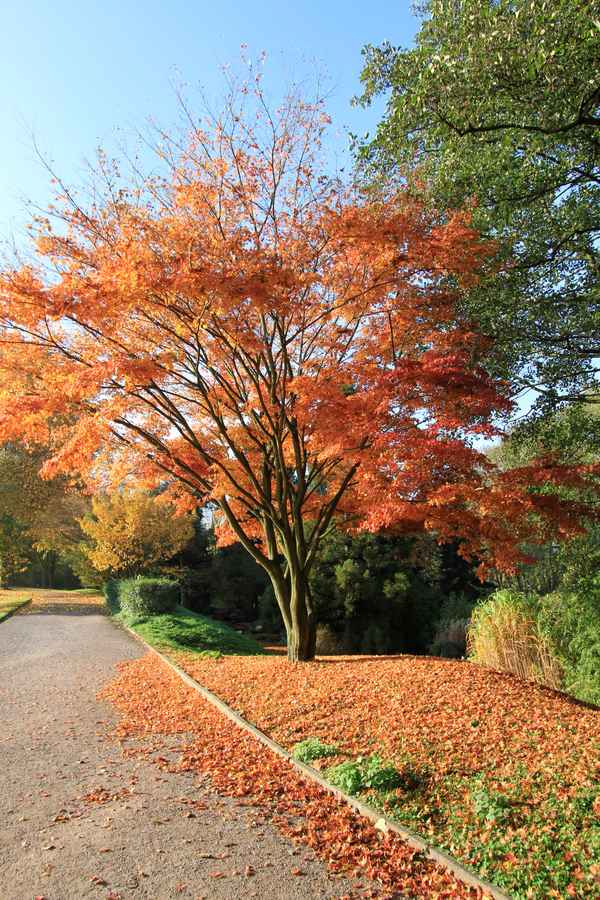 Wunderschöner Herbst 3