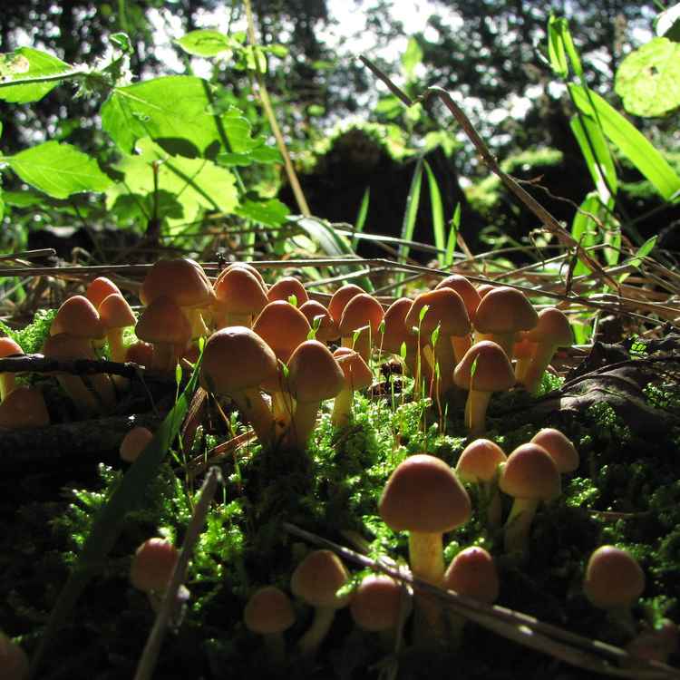 Wir sind wieder da !