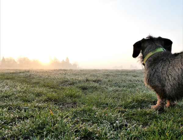 Der Sonne entgegen...