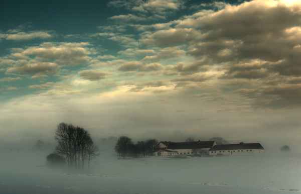 Nebel