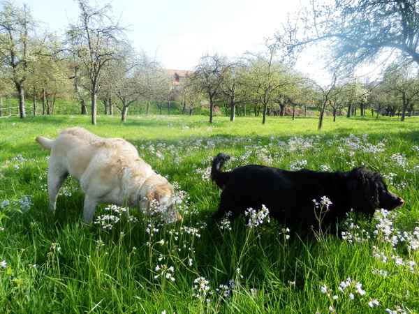 Der Frühling duftet spannend